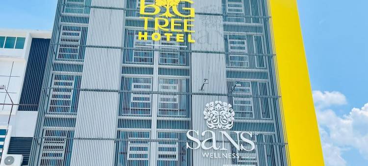 大树酒店(BIG TREE HOTEL)图片