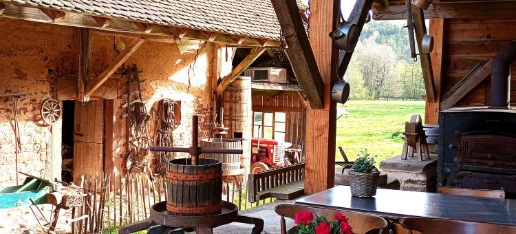 Maison d'hôtes de Charme - Ancien Moulin en Pleine Nature - la Paulusmühle图片