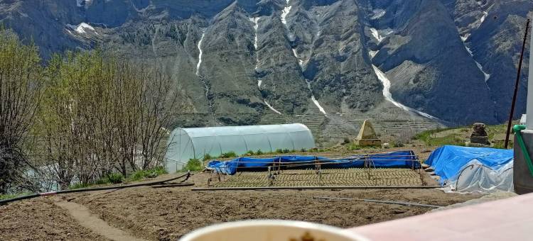 喜马拉雅度假屋(Himalayaa Retreat)图片