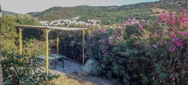 安娜和图里的度假屋(Casa Vacanze da Anna e Turi)图片