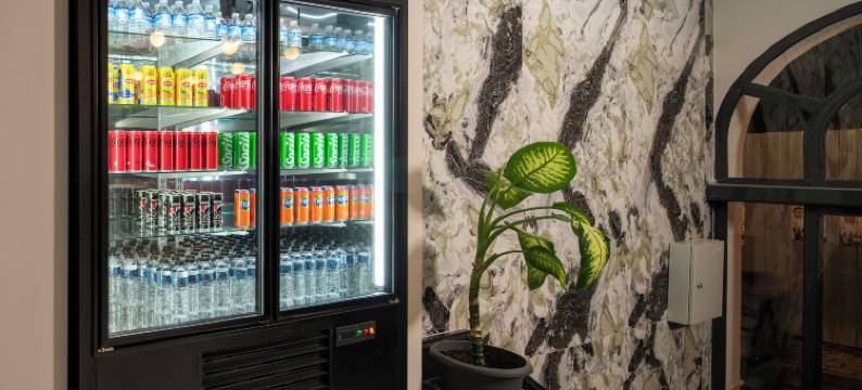 伊斯坦布尔Efes酒店(Istanbul Efes Hotel)图片