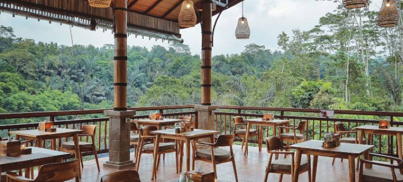 哈尔萨庇护所(由 Genuine Host 提供)(Harsa Sanctuary by GenuineHost)图片