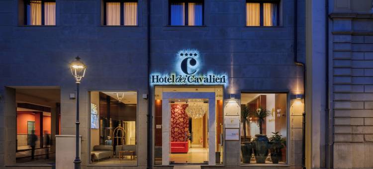 卡塞塔卡瓦列利酒店(Hotel dei Cavalieri Caserta - la Reggia)图片