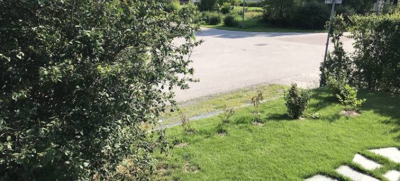 坦菲朗民宿(Tant Grön B&B)图片