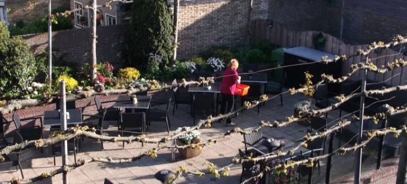 吾普科斯酒店(Hotel Oepkes)图片