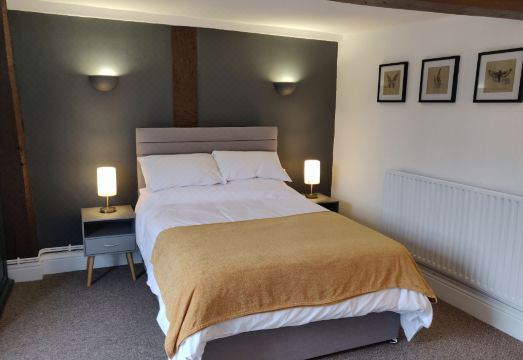 The Fox Hotel Overview