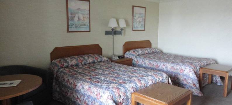 岛屿度假汽车旅馆(Island Resort)图片