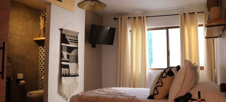 达米安娜精品酒店(Hotel Boutique Casa Damiana)图片