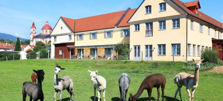 JUFA 珀劳酒店(Jufa Hotel Pöllau)图片