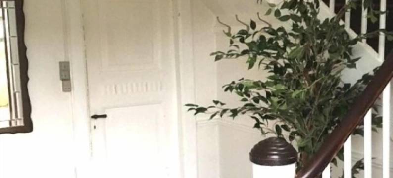 Søndervang别墅(Villa Søndervang)图片