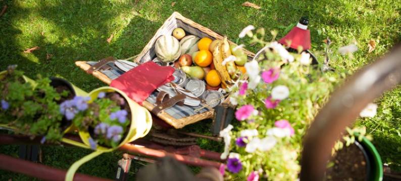 享受二人世界的Liebesglück酒店(Boutiquehotel Liebesglück - Adults Only)图片