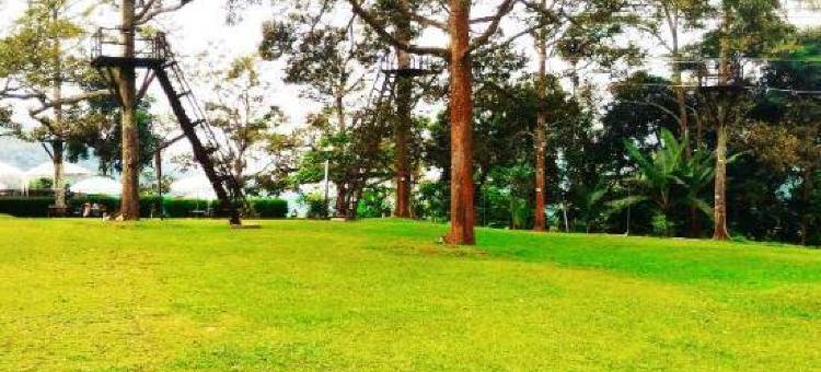 杜永特拉瓦山寄宿家庭(Duyung Trawas Hill)图片