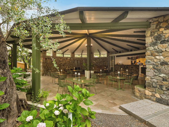 橄榄树豪华露营