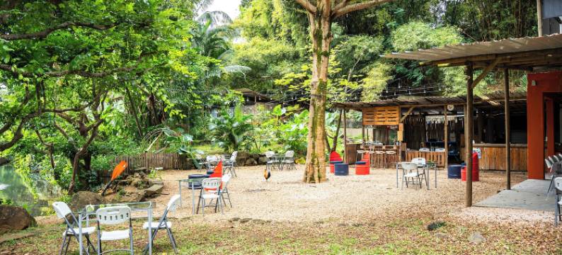 本土酒店及Spa(Nativ Lodge and Spa)图片