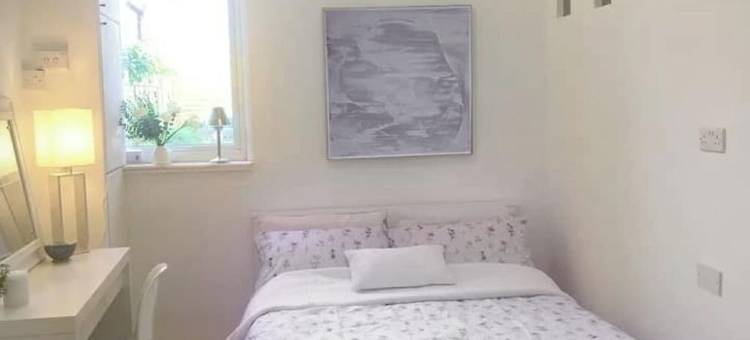 A modern spacious 3-bedroom apartment with garden图片