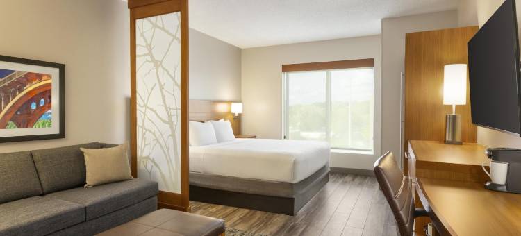 哥伦比亚/市中心/The Vista 凯悦嘉轩酒店(Hyatt Place Columbia Downtown)图片