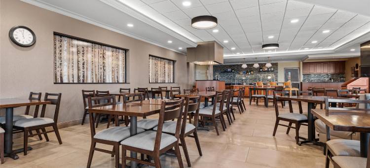 圣路易斯克雷夫科尔德鲁里套房酒店(Drury Plaza Hotel St Louis Creve Coeur)图片