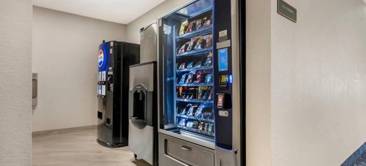 阿维烟酒店(Comfort Inn & Suites)图片