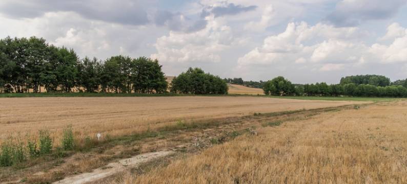 A cave house with a historic charm图片