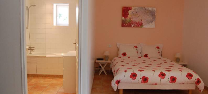 Villa in Valréas with Pool and Garden Views图片