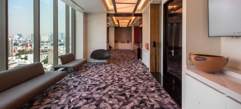 墨西哥城索菲特改革大道酒店(Sofitel Mexico City Reforma)图片