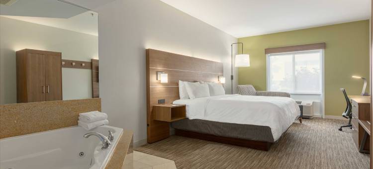 宾汉顿大学-韦斯塔尔智选假日套房酒店(Holiday Inn Express & Suites Binghamton University-Vestal)图片