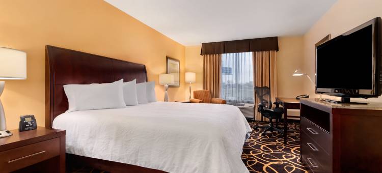 什里夫波特伯锡尔城希尔顿花园酒店(Hilton Garden Inn Shreveport / Bossier City)图片