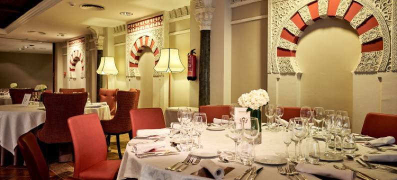 欧洲之星征服者酒店(Eurostars Conquistador)图片