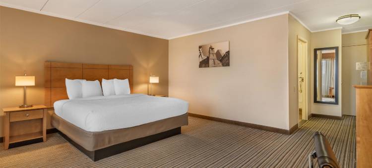 Best Western Plus Waltham Boston图片