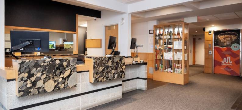 乐多芬魁北克套房和酒店(Hôtel & Suites le Dauphin Québec)图片