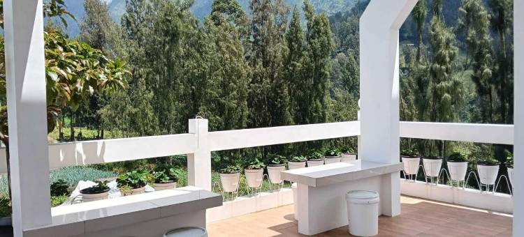 布罗莫普尔莫旅馆(Pulmo Guesthouse Bromo)图片