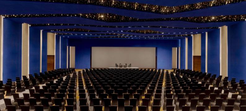 诺富特齐普尔会议中心酒店(Novotel Jaipur Convention Centre)图片