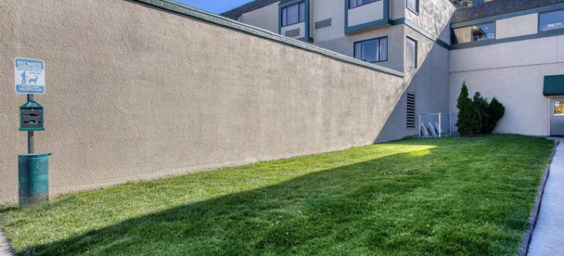 里诺机场贝斯特韦斯特SureStay Plus酒店(SureStay Plus Hotel by Best Western Reno Airport)图片