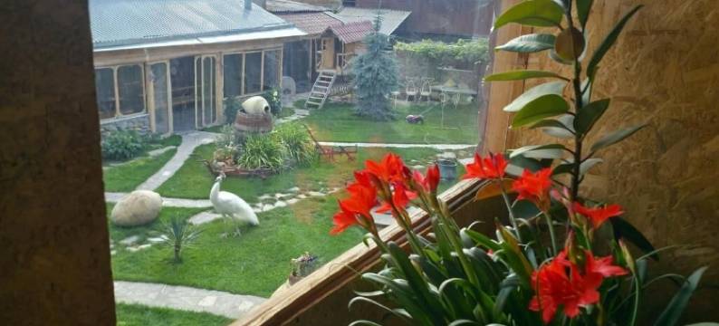 哈卡拉特旅馆(Hacarat Guest House)图片