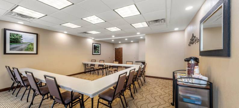 库尔曼I-65号310出口舒适套房酒店(Comfort Suites Cullman I-65 Exit 310)图片