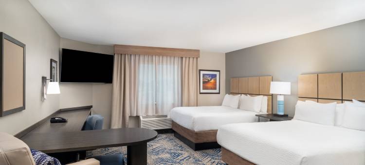 Candlewood Suites 贡萨雷斯 - 巴吞鲁日地区 by IHG(Candlewood Suites Gonzales - Baton Rouge Area by IHG)图片