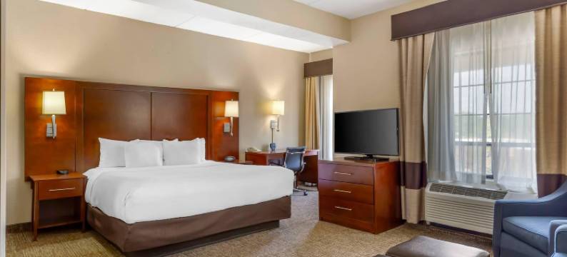 摄政公园舒适套房酒店(Comfort Suites Regency Park)图片