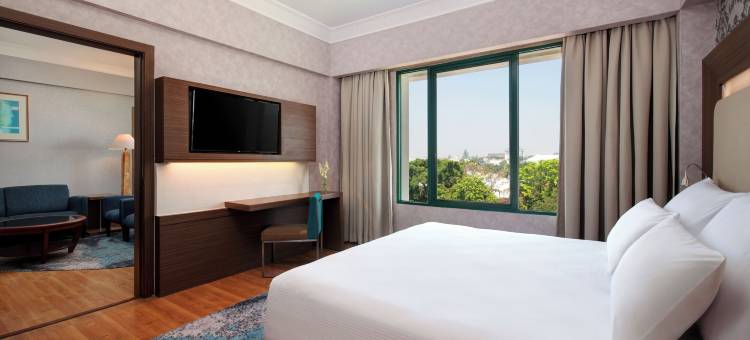 索罗诺富特酒店(Novotel Solo)图片