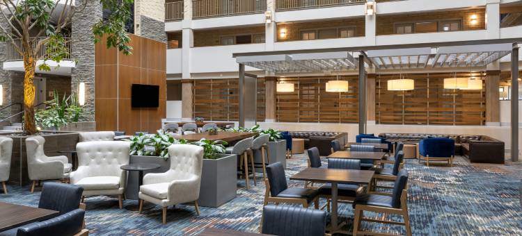 布卢明顿伊代纳希尔顿安泊酒店(Embassy Suites by Hilton Bloomington Edina)图片