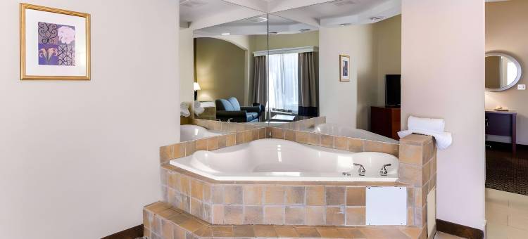 哥伦比亚门户舒适套房酒店(Comfort Suites Columbia Gateway)图片