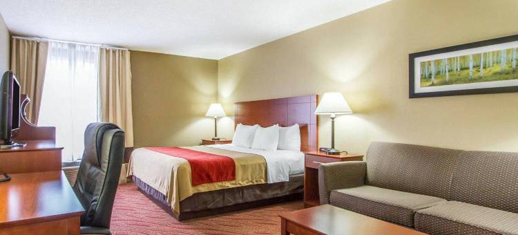波普勒布拉夫北舒适酒店(Comfort Inn Poplar Bluff North)图片