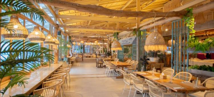 椰林村海滩度假村(Cocohut Beach Resort)图片