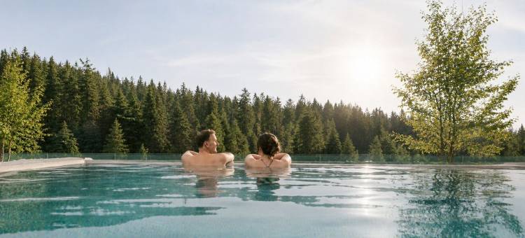 沃德安诺柴帕斯酒店(Das Waldhotel - Genuss & Wellness am Notschreipass)图片