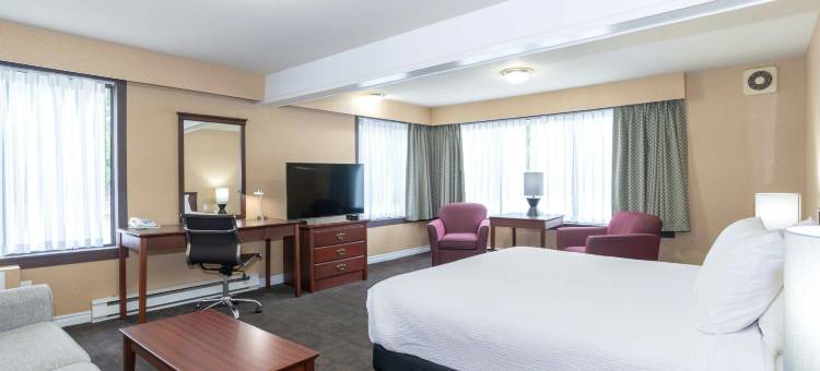 卡斯尔加桑德曼酒店(Sandman Hotel Castlegar)图片