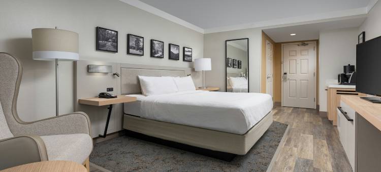 查塔努加会议中心希尔顿花园酒店(Hilton Garden Inn Chattanooga Downtown)图片