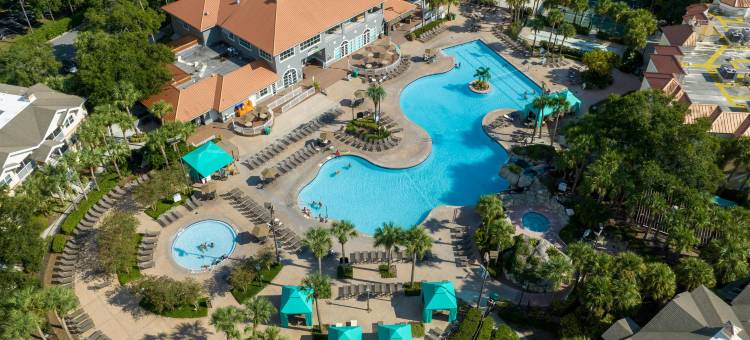 奥兰多布纳维斯塔湖维斯塔那万豪喜来登别墅度假酒店(Sheraton Vistana Resort Villas, Lake Buena Vista/Orlando)图片