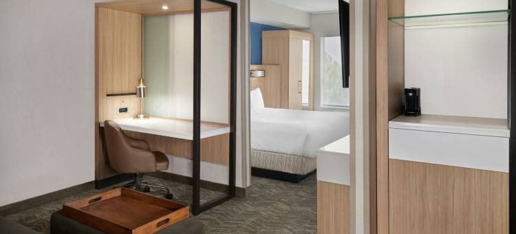 兰辛SpringHill Suites酒店(SpringHill Suites Lansing)图片