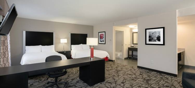 罗厄诺克机场/谷景购物中心欢朋套房酒店(Hampton Inn & Suites Roanoke Airport)图片