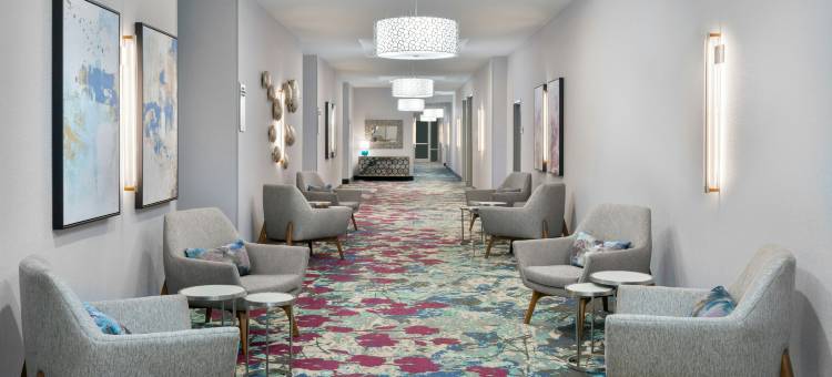 布兰登坦帕河景希尔顿花园酒店(Hilton Garden Inn Tampa/Riverview/Brandon)图片