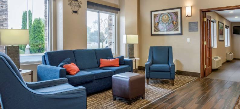 迪蒙代尔舒适套房酒店(Comfort Inn & Suites Dimondale - Lansing)图片